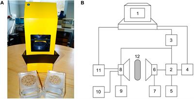 Acoustic-Based Screening Method for the Detection of Total Aflatoxin in Corn and Biological Detoxification in Bioethanol Production